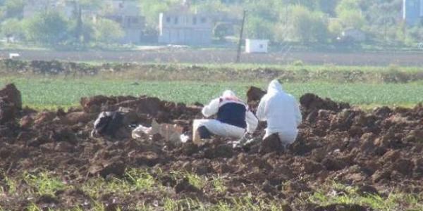 Ceylanpnar'a 2 top mermisi dt