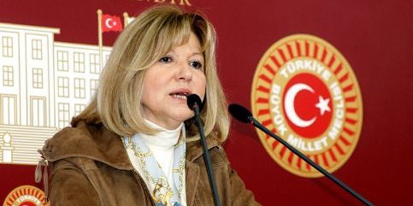 Serter: CHP'nin barna haner sapland