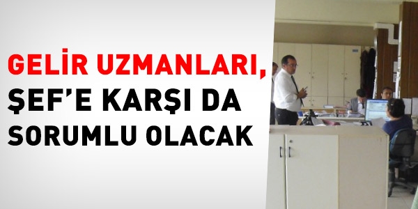 Gelir uzmanlar, ef'e kar da sorumlu olacak