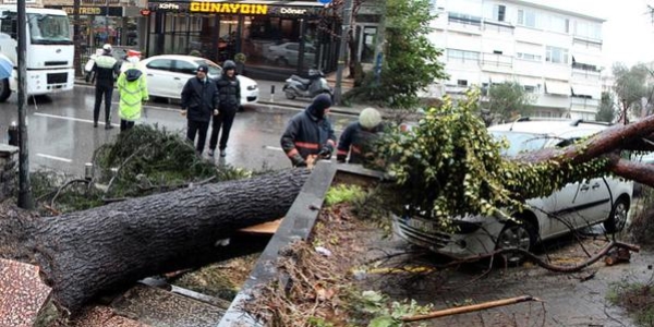 Badat Caddesi'nde aa yol ortasna devrildi