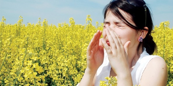 lkbahar aynda grlen alerjiye dikkat