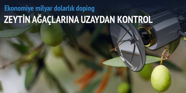 Ekonomiye milyarlk zeytin dopingi