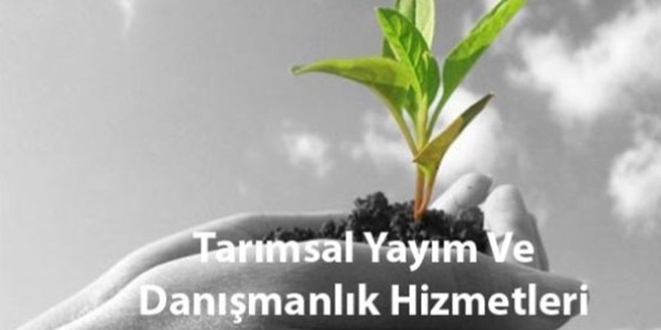 Tarmsal yaym ve danmanlk destei