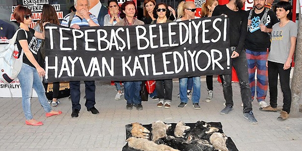 CHP'li belediyeye kpek lei protestosu