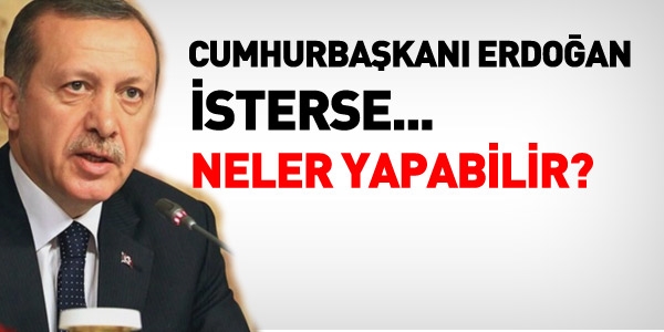 Erdoan isterse, neler yapabilir?