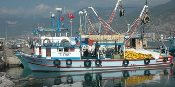 Karadeniz'de trol ile avclk sezonu ald