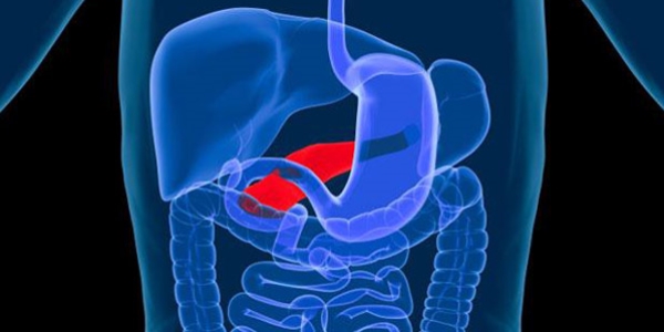 Diyabetten kurtulmann anahtar pankreastan 1 gram ya kaybetmek