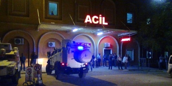 Mardin'de trafik kazas geiren doktor hayatn kaybetti