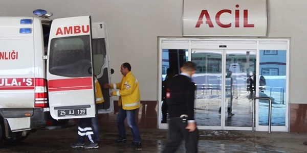 Erzurum'da domuz gribine yakalanan 16 yandaki gen ld