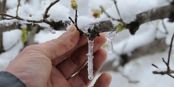 Meteorolojiden zirai don uyars