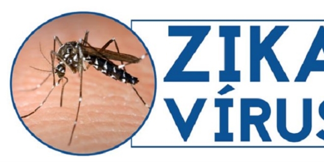 Dnyay korkutan Zika Virs