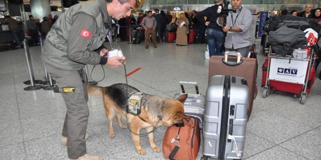 Havaliman'nda K-9 kpekleri bomba izi sryor