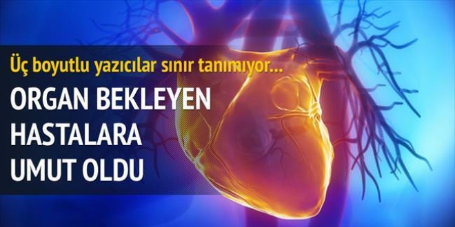 3D ile 'donrsz' organ nakli devri