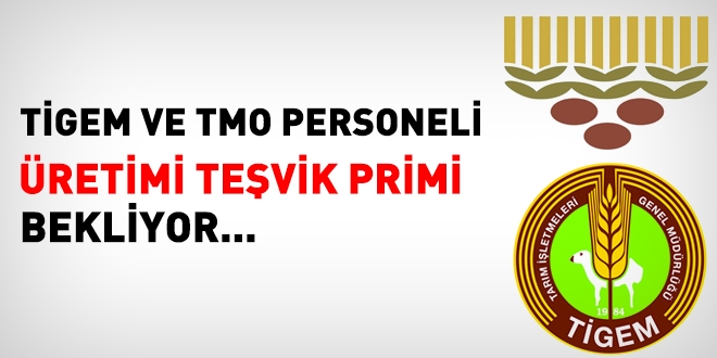 TGEM ve TMO personeli retimi Tevik Primi bekliyor