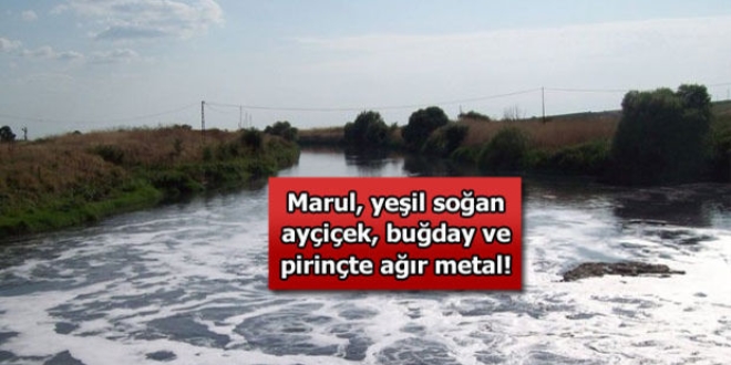 Ergene'de yetien rnlerde ar metal