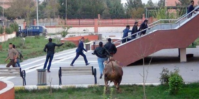 Kesimden kaan dana adliye bahesini birbirine katt