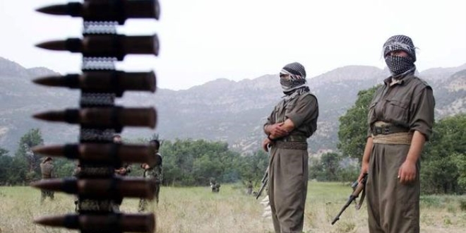 Bingl'de PKK'l terristler kyly kard