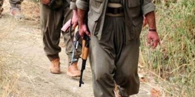 Ar'da PKK'l 2 terrist etkisiz hale getirildi