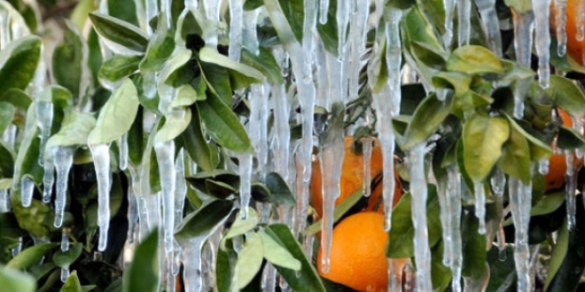 Meteoroloji'den baz illerimiz iin zirai don uyars