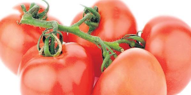 Rusya: Trkiye'nin domatesler iin 2-3 yl beklemesi gerekecek