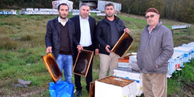 Sakarya'da 60 bin arnn zehirlendii iddia ediliyor