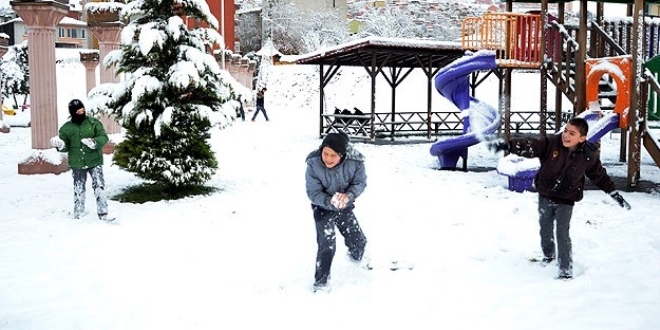 3 Ocak 2017 itibariyle eitime ara verilen il