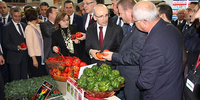 imek: Bu sistem dorudan milletin ynettii bir model