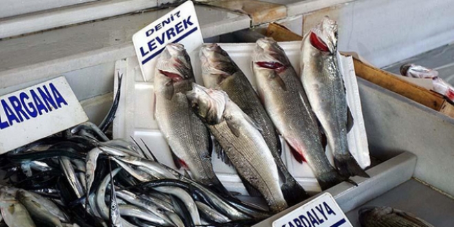 'Levrek ve ipura omega 3 zengini'