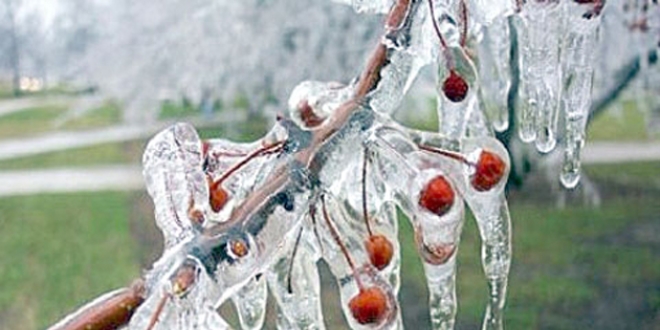 Meteoroloji'den Ege Blgesi iin frtna ve zirai don uyars