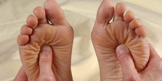 Prof Dr Tan 100 Kisiden 8 Inde Noropatik Agri Var