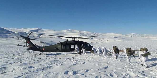 Bitlis'te bir terrist daha etkisiz hale getirildi