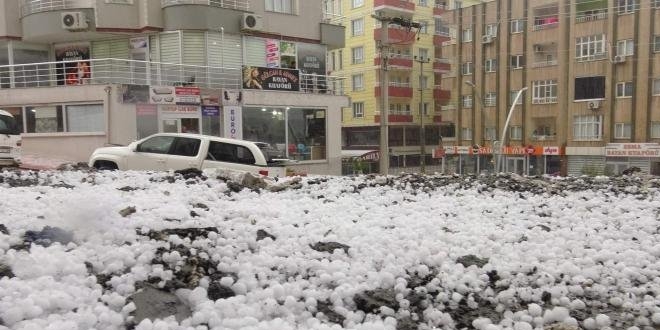 Mardin'de dolu ya hayat olumsuz etkiledi