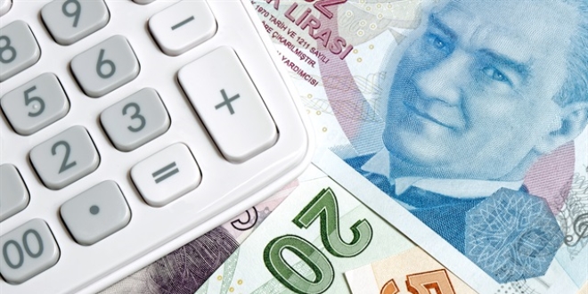 'Trkiye'de vergi denetimi konusunda epey yol alnd'