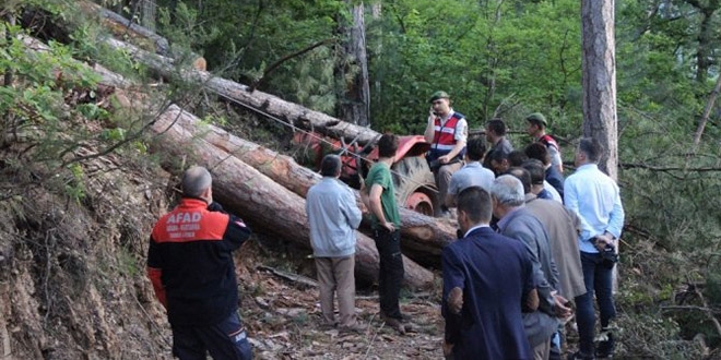 Karabk'te zerine aa devrilen orman iisi ld