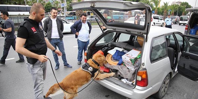 stanbul'da 'Kurt Kapan-6' operasyonu tamamland