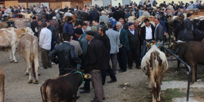 Hayvan pazarlarnda 'kurban' hareketlilii