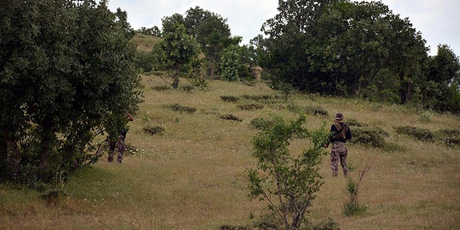 Bitlis'te 2 terrist etkisiz hale getirildi