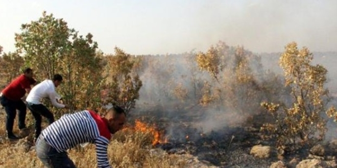 Manisa'nn Turgutlu ilesinde kan yangn sndrlmeye allyor