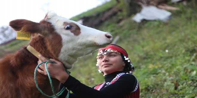 Fakbaba 'Trkiye'nin Heidi'si'ni arlad