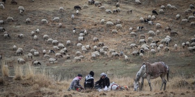 Dou'da yayla hasreti sona eriyor