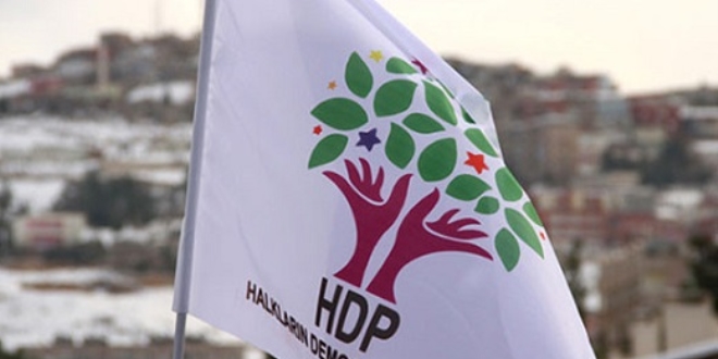 HDP Elaz l E Bakan'na 'Zeytin Dal' gzalts