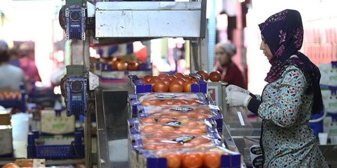 Rusya Trkiye'den domates ithalatn arttrabilir