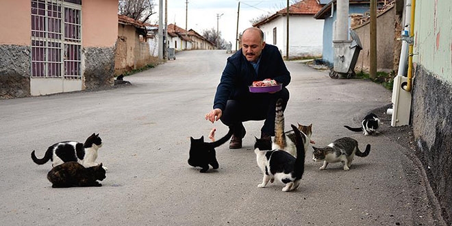 Mahallenin kedileri imamn yolunu gzlyor