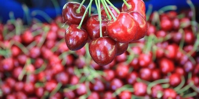 Harekete geildi! Trkiye ABD'nin payn kapacak