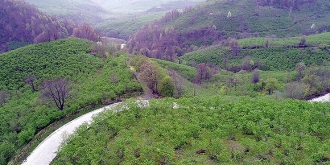 Karadeniz 'yeil deniz' gibi