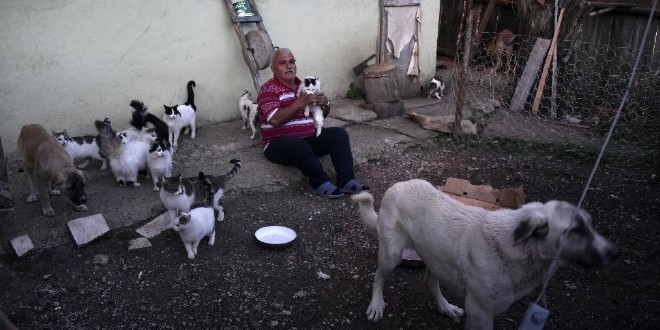 Emekli maayla 25 kedi ve 15 kpek besliyor