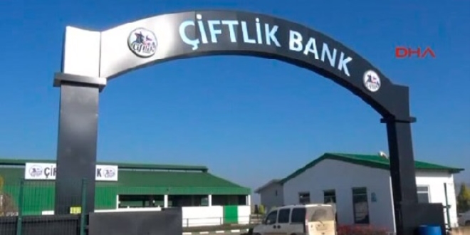 iftlik Bank'n yazlmcs tutukland