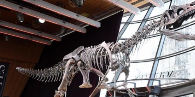 Dinozor iskeletine 2,36 milyon dolar