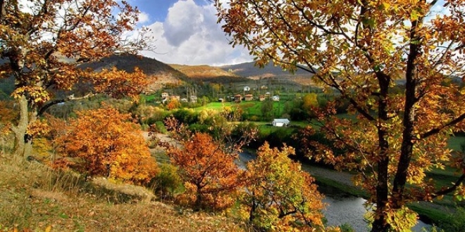 Ordu'daki Argan Yaylas turizme kazandrlyor