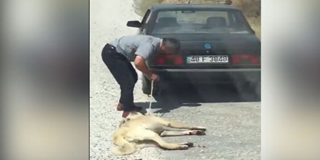 Sosyal medya ayaa kalkt, polis her yerde onu aryor